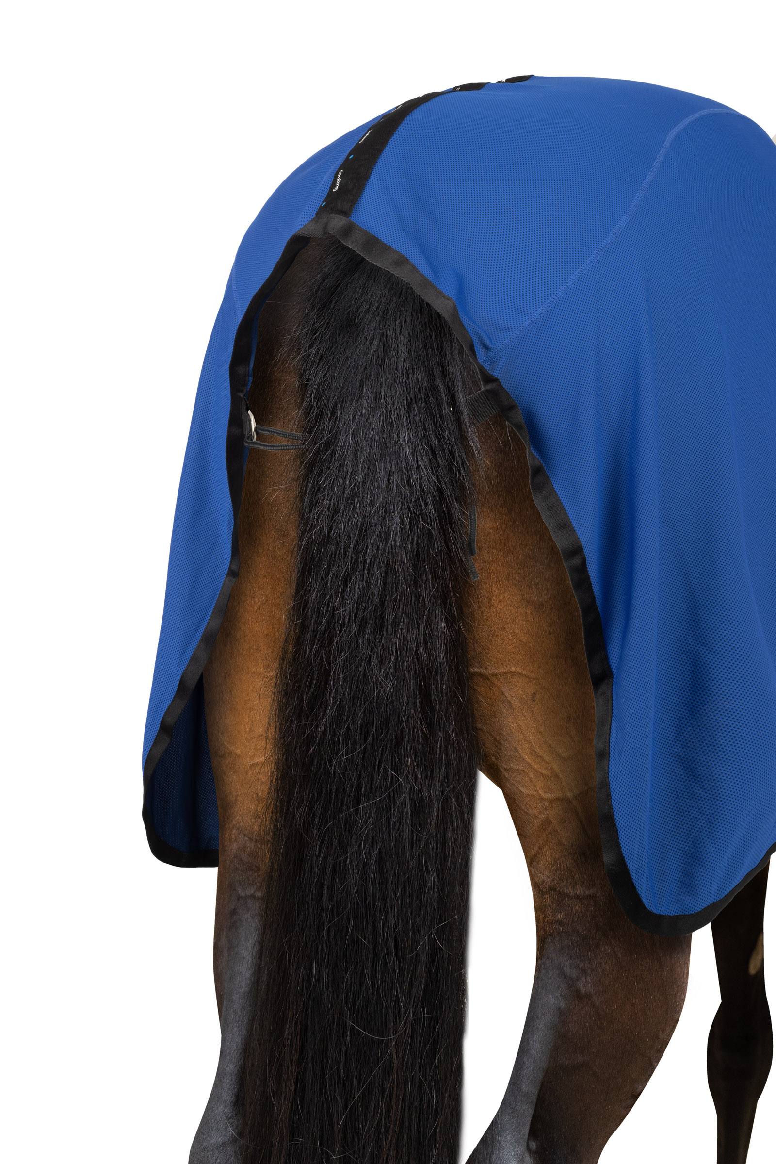 Horze EDIZIONE LIMITATA Coperta raffreddante