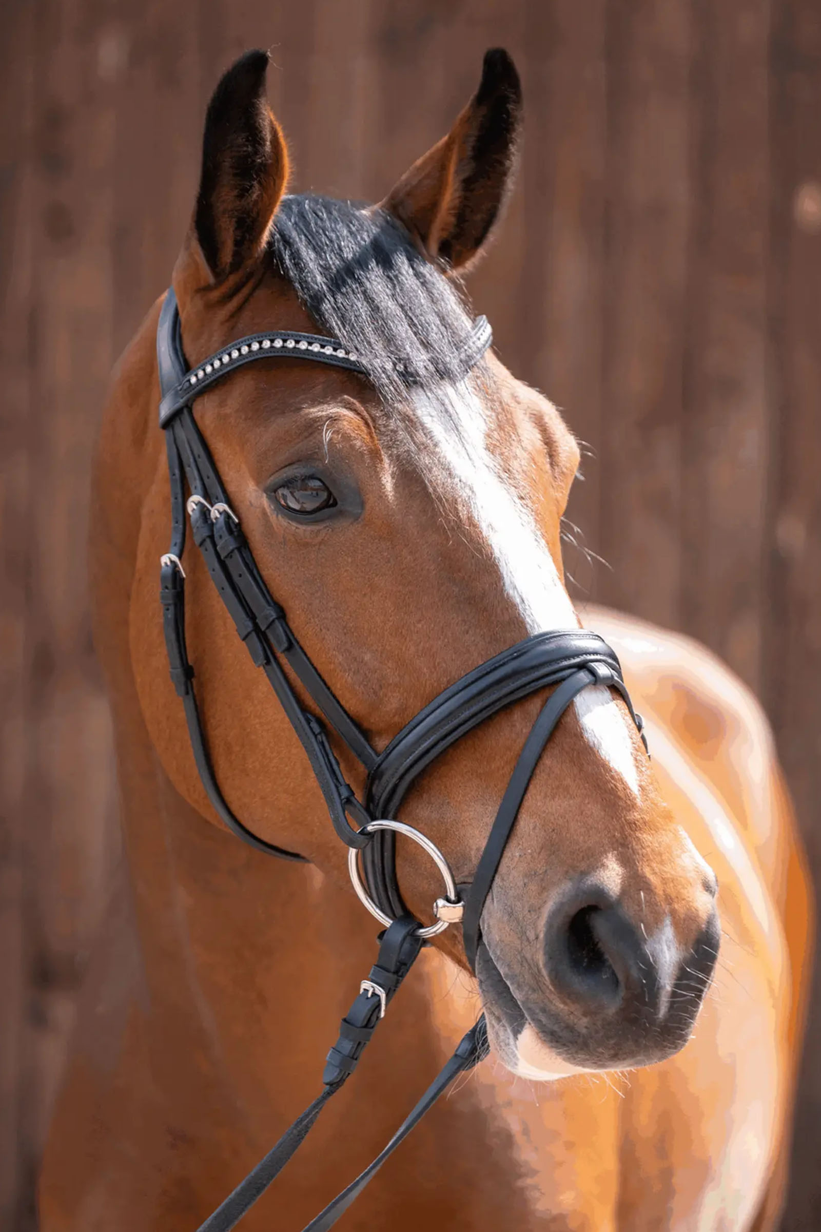 Sprenger Novocontact filetto ad anelli liberi 14mm a snodo semplice Sensogan con anelli in acciaio inox da 70mm