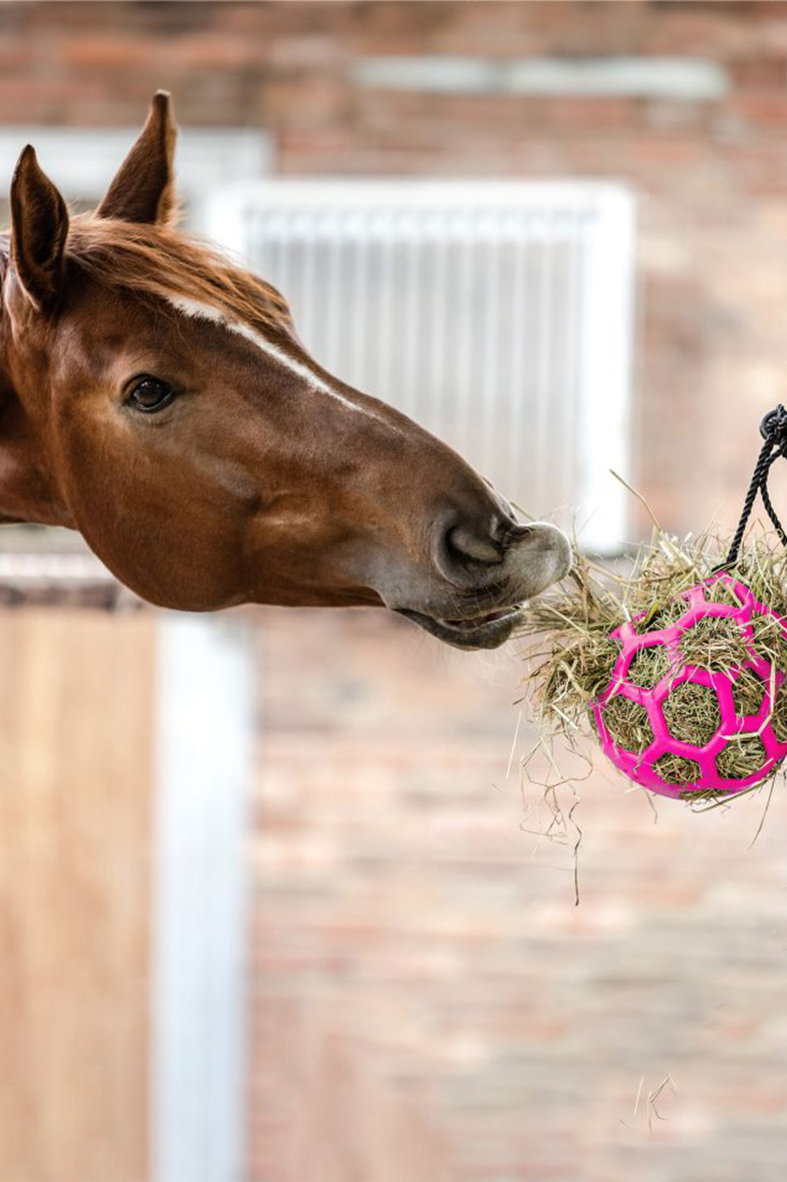 Palla di fieno Waldhausen