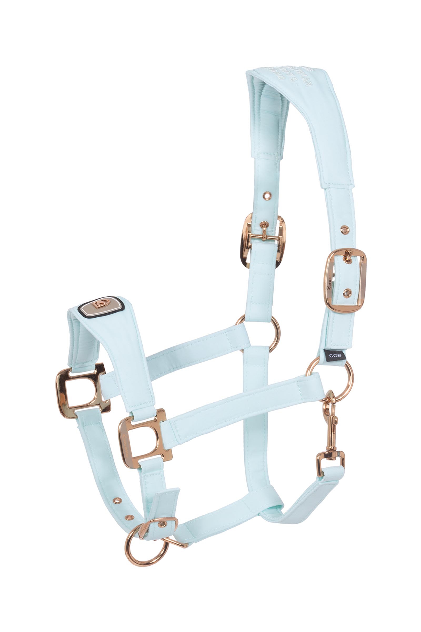 Crystal Blue Cavallo CAVALPAWEL cavezza