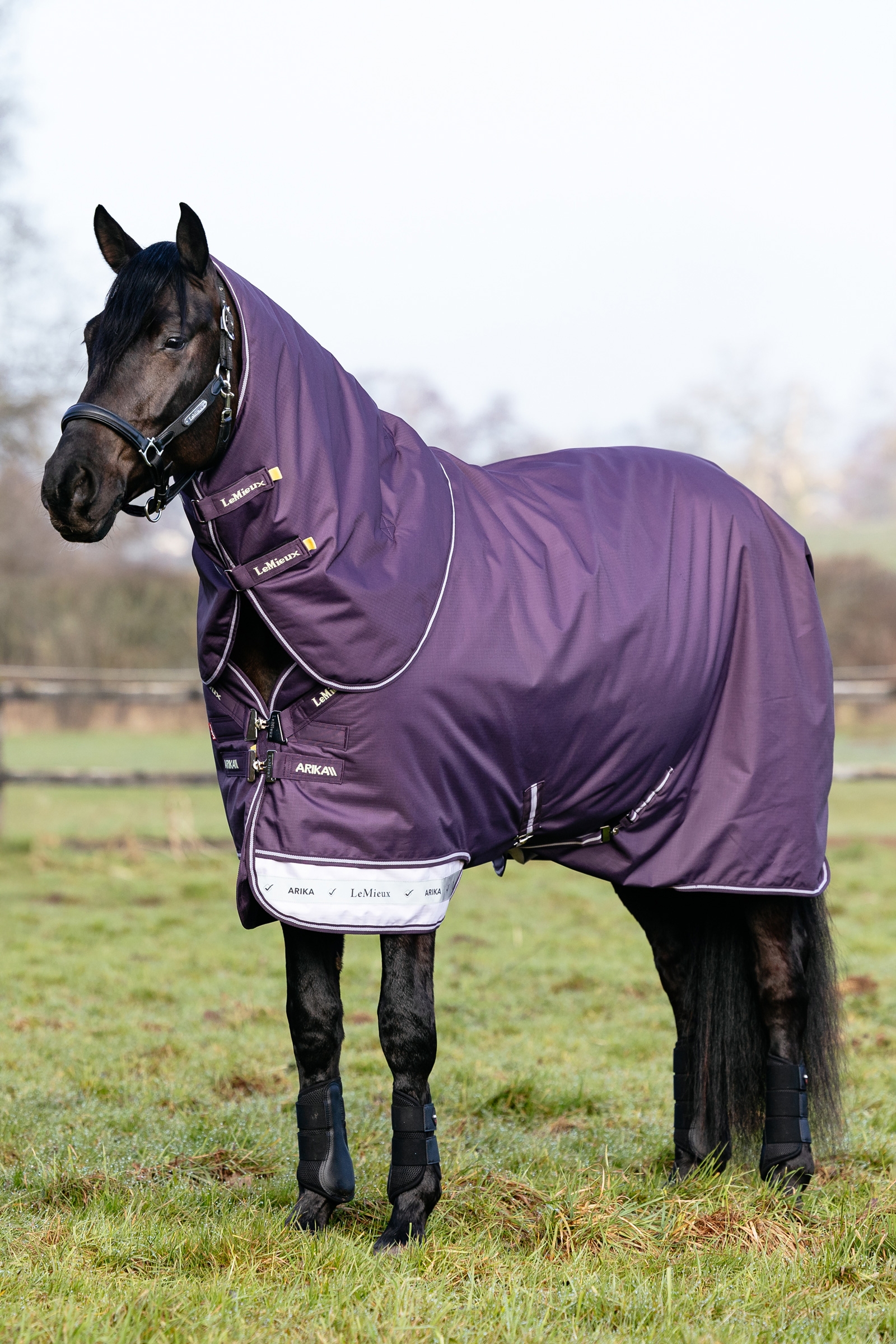 Juniper LeMieux Arika Ripstop Turnout Rug With Detachable Neck, 100 g