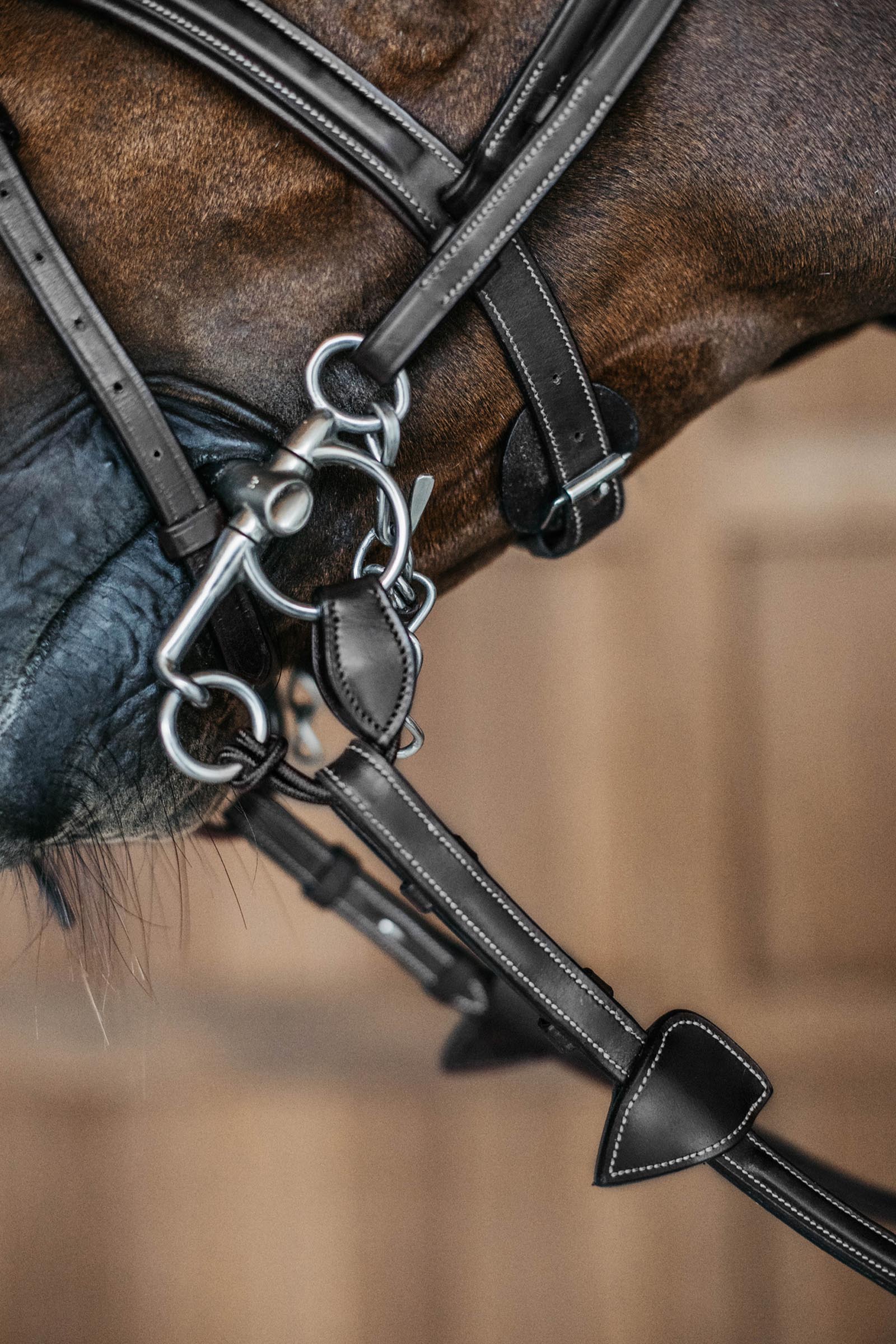 Dy'on cinturini pelham corti  