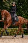 Waldhausen Breath Performance sottosella dressage